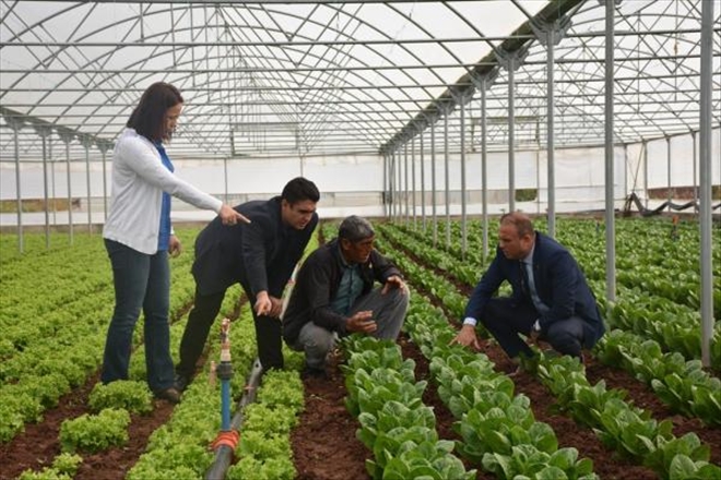 Aksaray seraları aktif çalışıyor