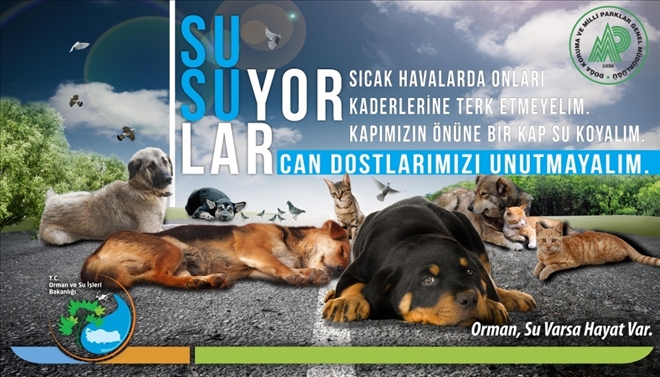 HAYVANLARA İNSANİ YARDIM YAPALIM