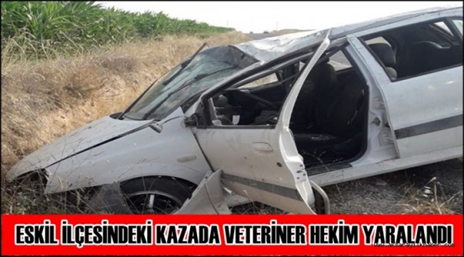 KAZADA VETERİNER HEKİM YARALANDI