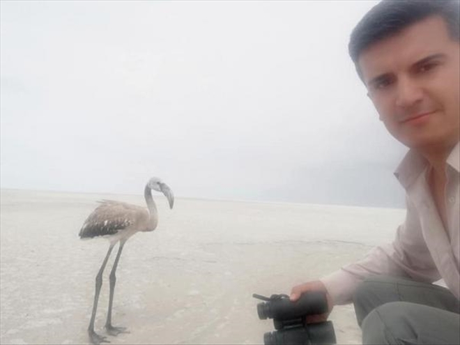 Tedavisi tamamlanan flamingo Tuz Gölüne bırakıldı 