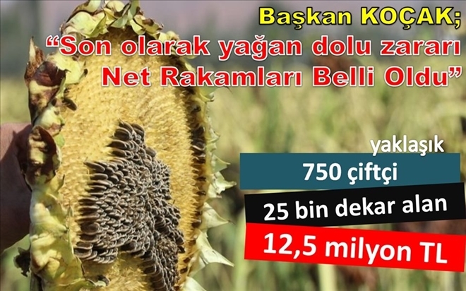 dolu ve sel zararı belli oldu