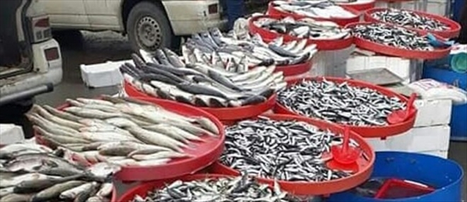 Balıkçılara Talep Artıyor