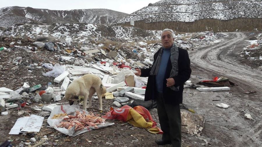 Hayvanları Besliyor