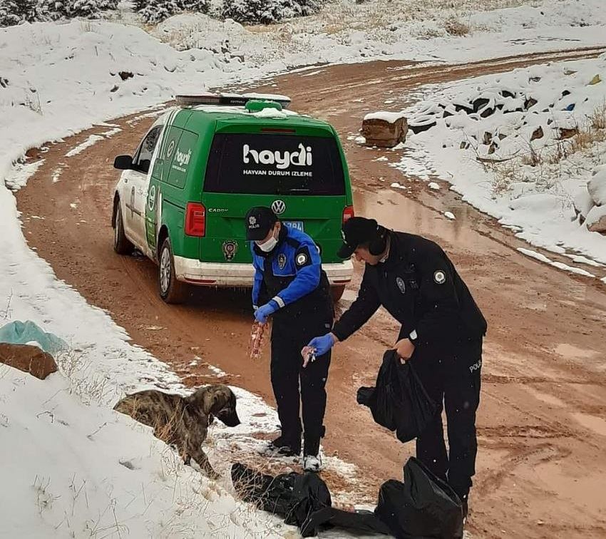 AKSARAY EMNİYETİ SOKAK HAYVANLARINI YALNIZ BIRAKMADI.