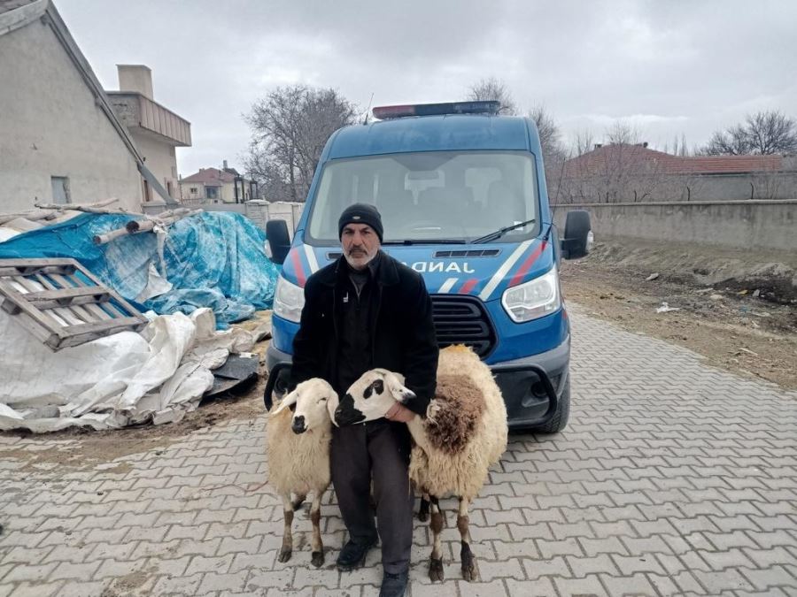 AKSARAY ALAYHANDA ÇALINAN KOYUNLAR BULUNDU.!